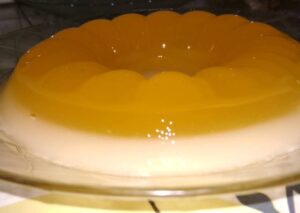 cara membuat pudding santan nutrijell