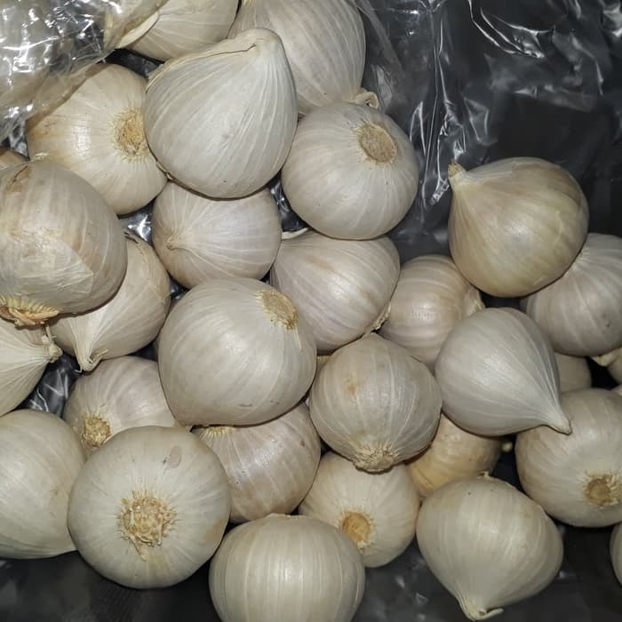 Bawang Lanang