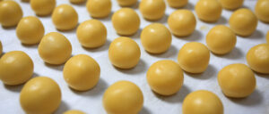 bisnis kue rumahan