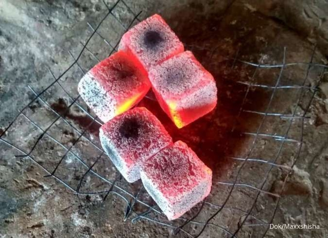 briquette coconut