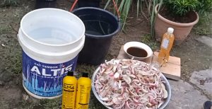Kompos dari Batang Pisang yang Dapat Menyuburkan Tanah
