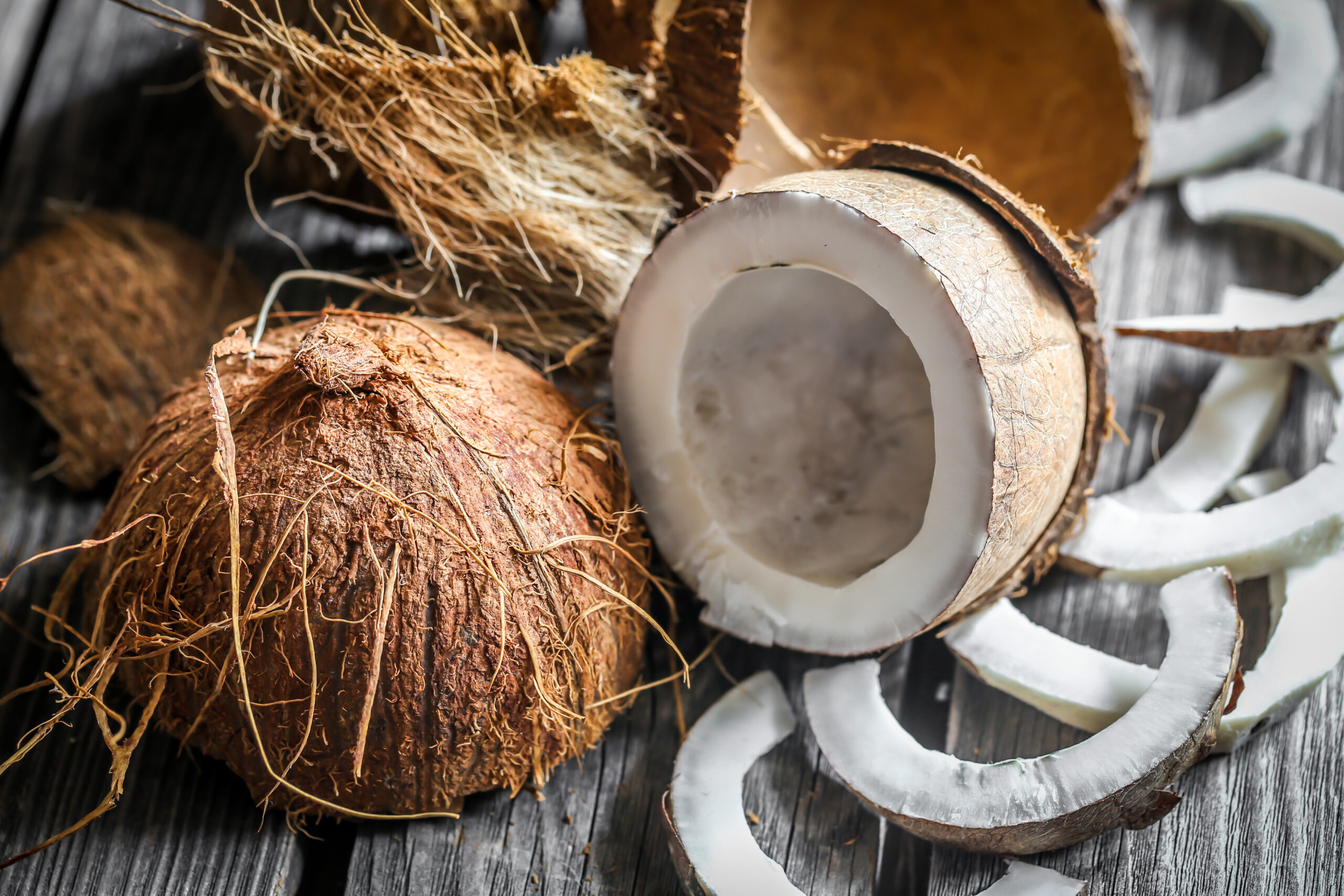 Kesimpulan Produk Olahan Kelapa