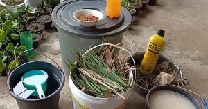 bahan bahan pembuatan pupuk kompos cair