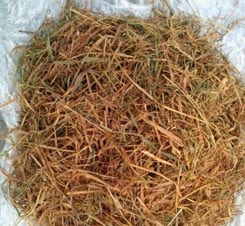 Jerami Kering Agar Sisukai Sapi Dengan Campuran Bahan Alami