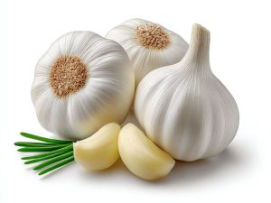 tips memulai usaha bawang