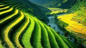 pemanfaatan sumber daya lokal