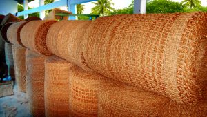 Sabut Kelapa sebagai Bahan Industri Berdaya Saing