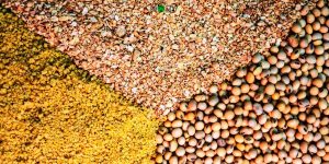 Keuntungan Pakai Alat Mixer Ternak