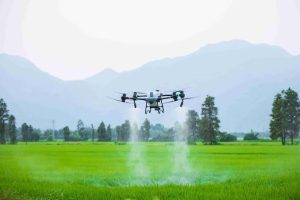 drone untuk perawatan tanaman