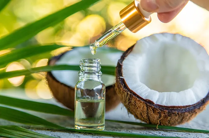 Proses Pembuatan Minyak Kelapa Sederhana