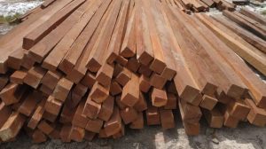 Tips Serut Kayu Biar Hasil Halus