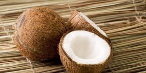 Mesin Kelapa untuk Produksi Santan