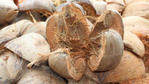 Standar Ekspor Cocofiber dan Cocopeat