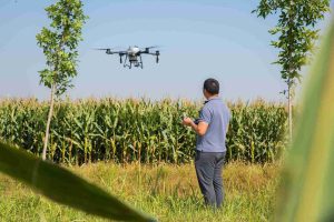 Harga Drone Semprot Sawah Terbaru