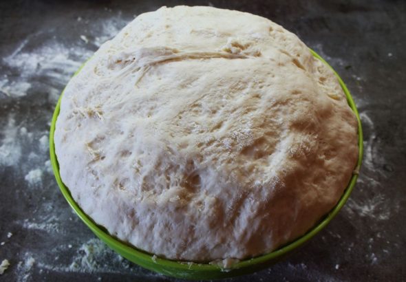 perbedaan fermentasi pertama dan kedua