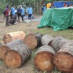 cara memanfaatkan ampas batang sagu