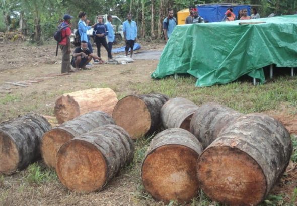 cara memanfaatkan ampas batang sagu