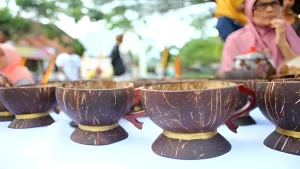 pemanfaatan batok kelapa setelah pengupasan
