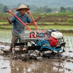 membajak sawah